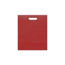 ECO PLANA FOLDER 30X37CM CON SUAJE SIN IMPRESION (100 PACK)