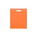 ECO PLANA FOLDER 30X37CM CON SUAJE SIN IMPRESION (100 PACK)
