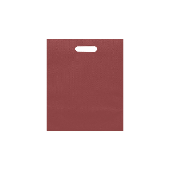 ECO PLANA FOLDER 30X37CM CON SUAJE SIN IMPRESION (100 PACK)