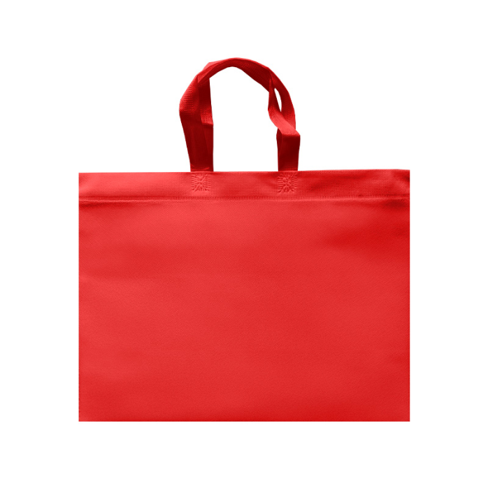 ECO PLANA SHOP HORIZONTAL 45X33X12CM CON ASAS SIN IMPRESION (100 PACK)