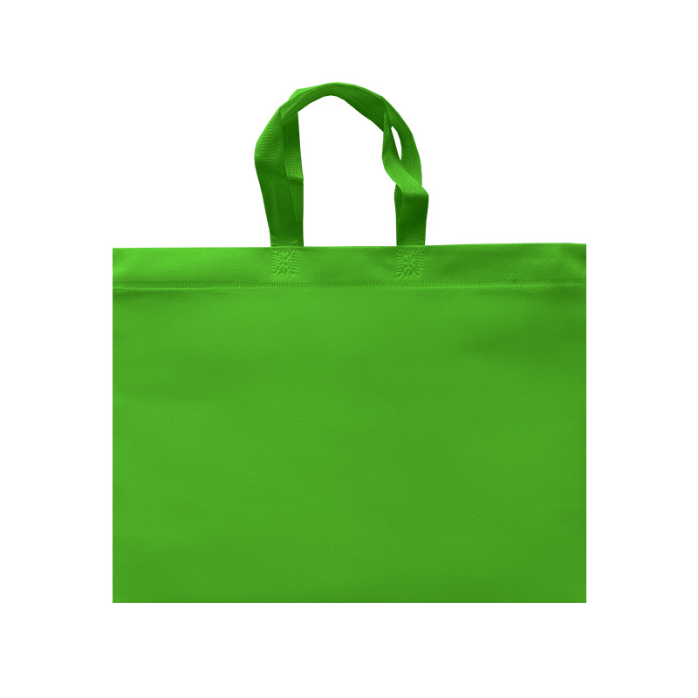 ECO PLANA SHOP HORIZONTAL 45X33X12CM CON ASAS SIN IMPRESION (100 PACK)