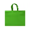 ECO PLANA SHOP HORIZONTAL 45X33X12CM CON ASAS SIN IMPRESION (100 PACK)
