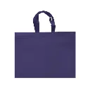 ECO PLANA SHOP HORIZONTAL 45X33X12CM CON ASAS SIN IMPRESION (100 PACK)