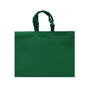 ECO PLANA SHOP HORIZONTAL 45X33X12CM CON ASAS SIN IMPRESION (100 PACK)
