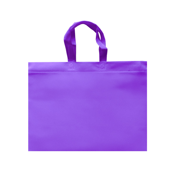ECO PLANA SHOP HORIZONTAL 45X33X12CM CON ASAS SIN IMPRESION (100 PACK)