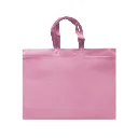 ECO PLANA SHOP HORIZONTAL 45X33X12CM CON ASAS SIN IMPRESION (100 PACK)