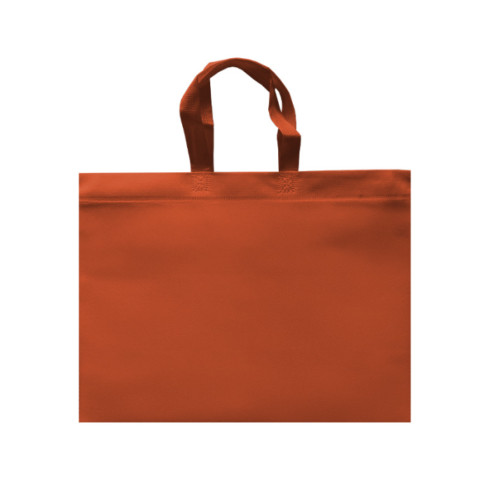 ECO PLANA SHOP HORIZONTAL 45X33X12CM CON ASAS SIN IMPRESION (100 PACK)