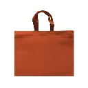 ECO PLANA SHOP HORIZONTAL 45X33X12CM CON ASAS SIN IMPRESION (100 PACK)