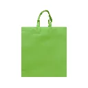 ECO PLANA SHOP VERTICAL 40X40x13CM CON ASAS SIN IMPRESION (100 PACK)