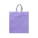 ECO PLANA SHOP VERTICAL 40X40x13CM CON ASAS SIN IMPRESION (100 PACK)