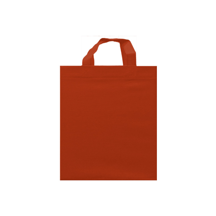 ECO BOX RESTAURANT BAG 80G 24X29X20X20CM CON ASAS SIN IMPRESION (100 PACK)