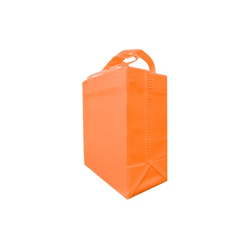 ECO BOX SMALL BAG 80G 20X24X11X11CM CON ASAS SIN IMPRESION. (100 PACK)