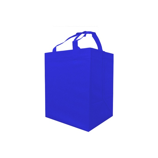 ECO BOX RESTAURANT BAG 80G 24X29X20X20CM CON ASAS SIN IMPRESION. (100 PACK)