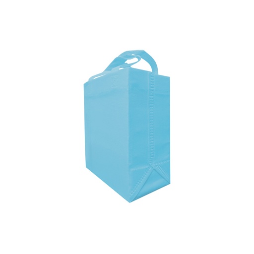 ECO BOX SMALL BAG 80G 20X24X11X11CM CON ASAS SIN IMPRESION. (100 PACK)